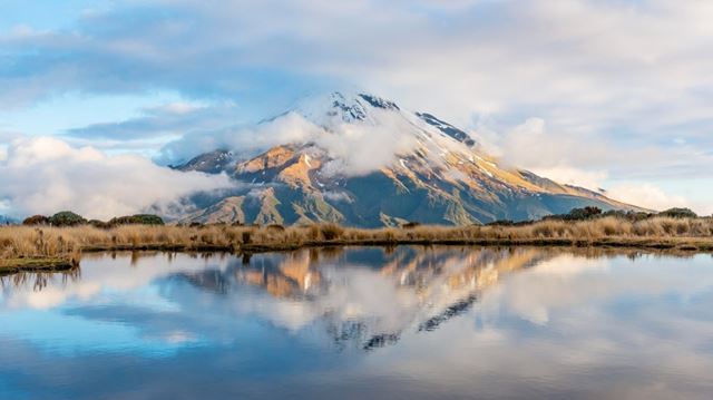 New zealand hero